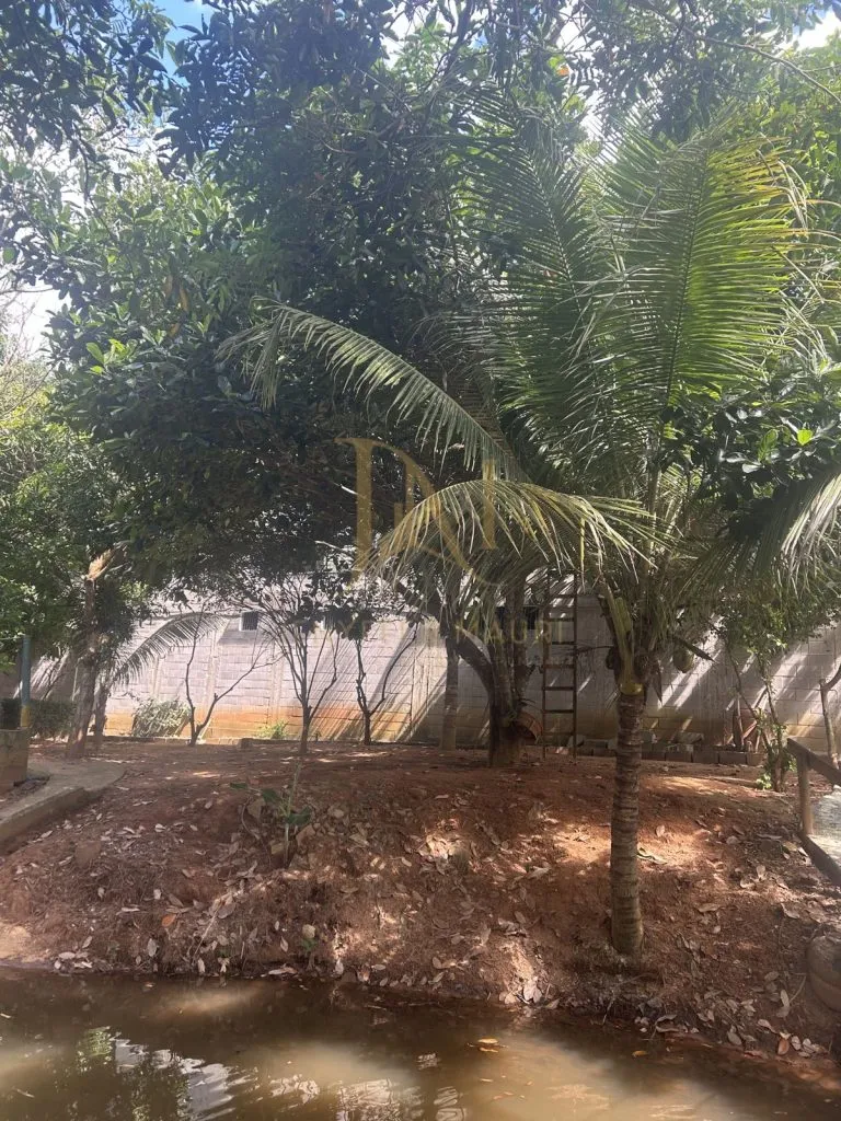 Terreno Comercial Estilo Chácara em BR 080, foto 11 de 13