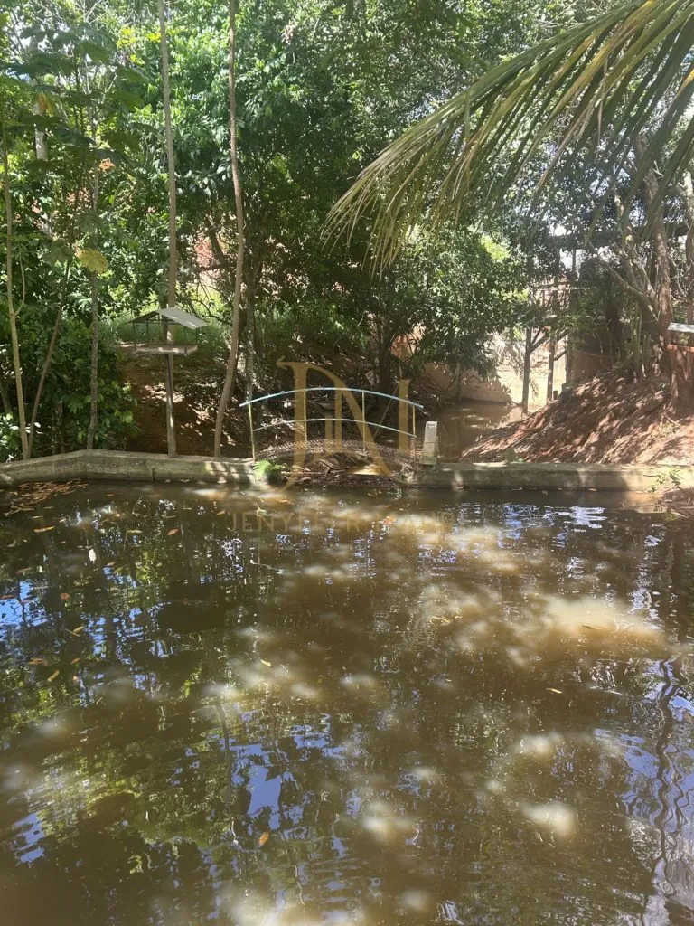 Terreno Comercial Estilo Chácara em BR 080, foto 13 de 13