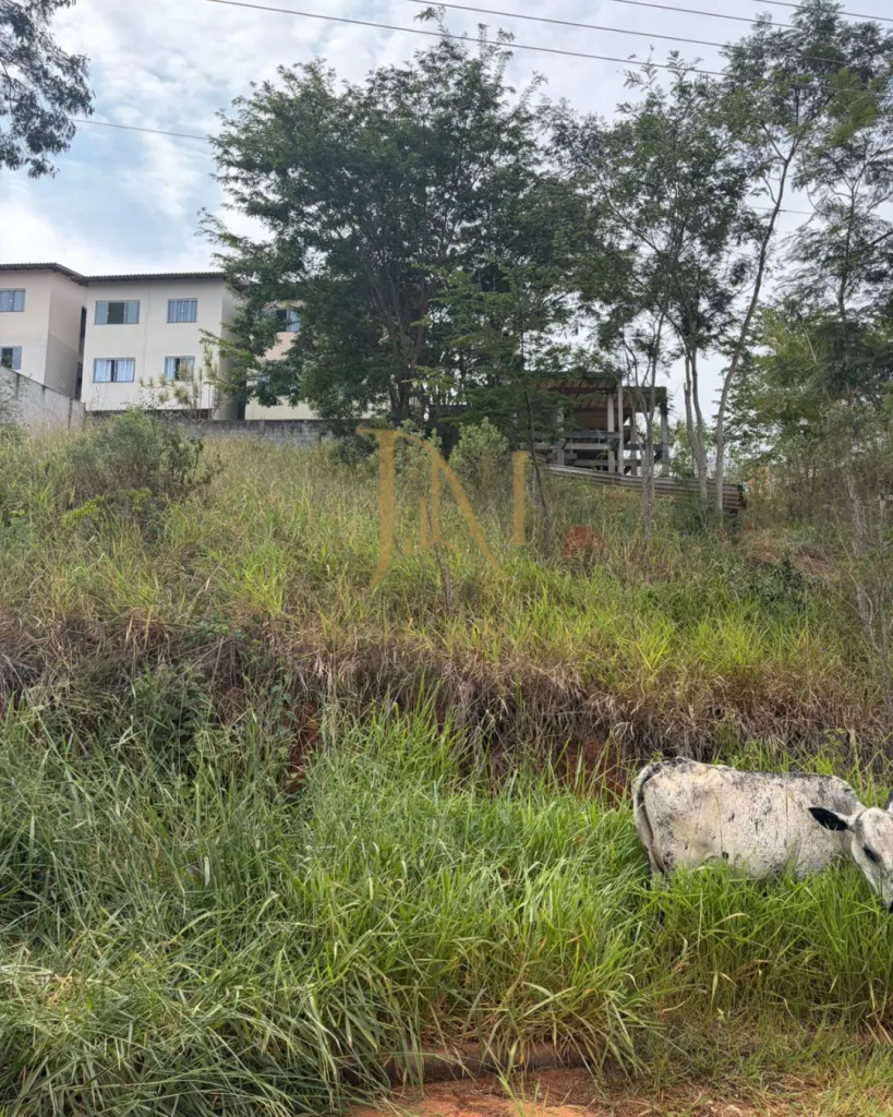 Lote Vila Verde, foto 3