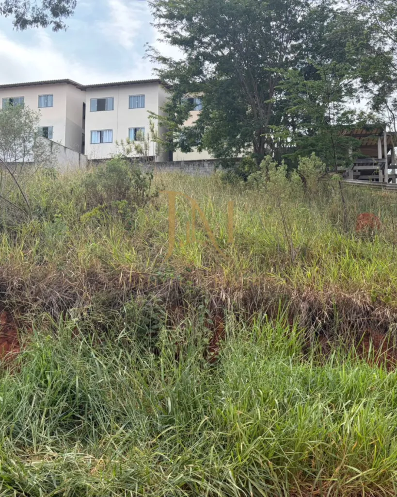 Lote Vila Verde, foto 4