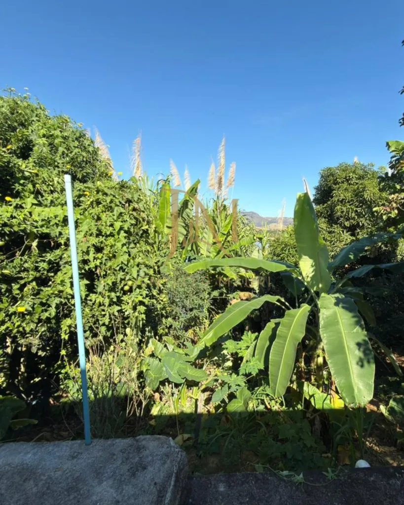 Chácara no Vilarejo Boninsegna, foto 3