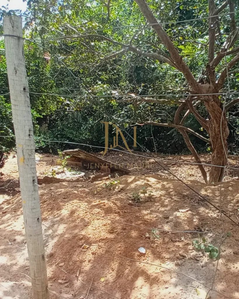 Lote no Maria das Graças, foto 5