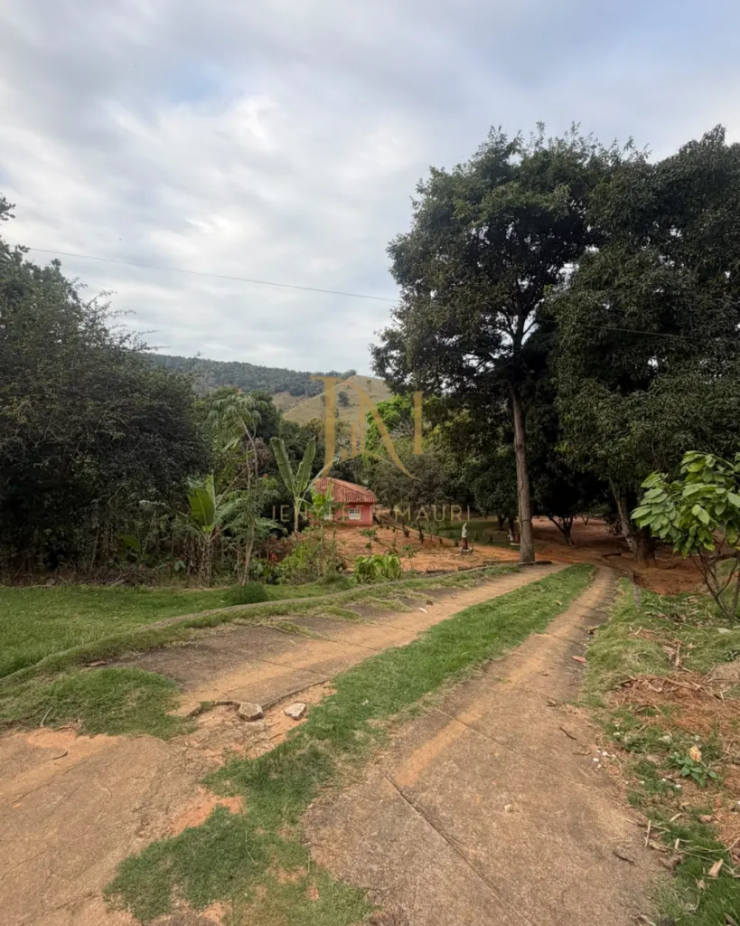 Imóvel Rural na Ponte do Pancas, foto 9 de 14