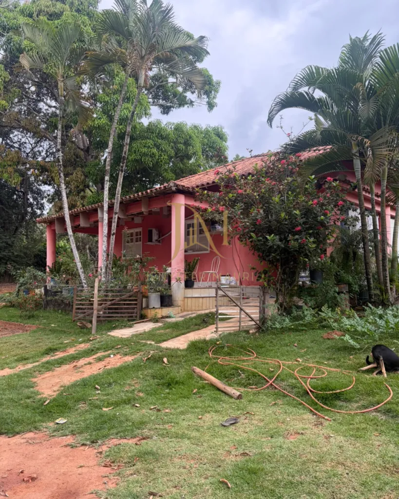 Imóvel Rural na Ponte do Pancas, foto 5
