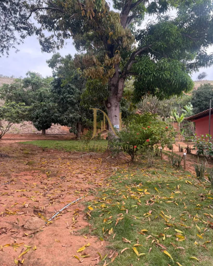 Imóvel Rural na Ponte do Pancas, foto 6 de 14