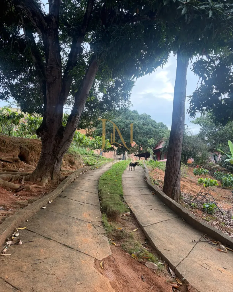 Imóvel Rural na Ponte do Pancas, foto 10 de 14